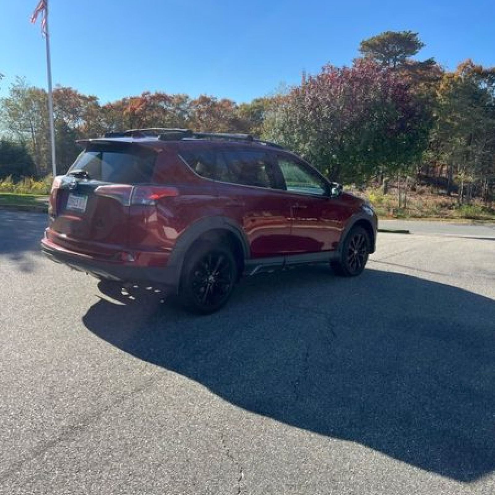 2018 Toyota RAV4 photo 6